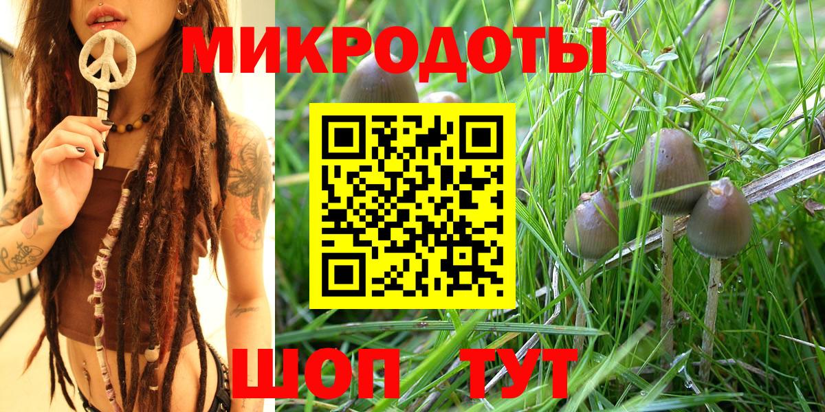 Псилоцибиновые грибы MAGIC MUSHROOMS  Вход с VPN  Аксай 